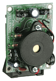 Electronic Cricket